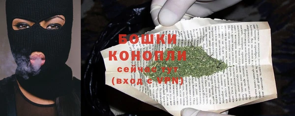шишки Балахна