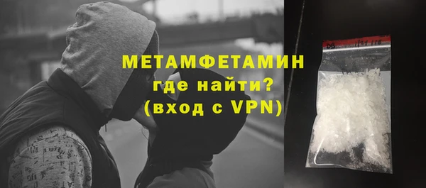 прущие грибы Осташков