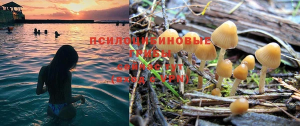 ГАЛЛЮЦИНОГЕННЫЕ ГРИБЫ Баксан