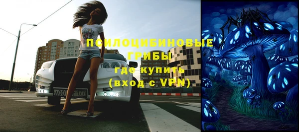 шишки Балахна