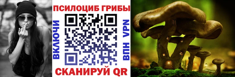 Псилоцибиновые грибы MAGIC MUSHROOMS  Белоусово 